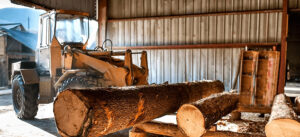 LumberingThroughWasteReduction_Steve-Bassaw_2014-1